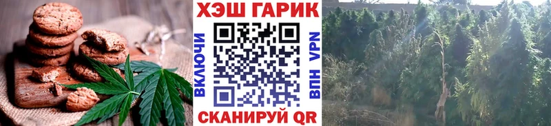 Canna-Cookies конопля сколько стоит Мегион