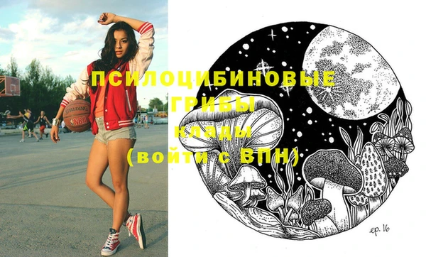 стаф Осташков