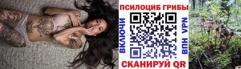 Псилоцибиновые грибы Magic Shrooms  Мегион 